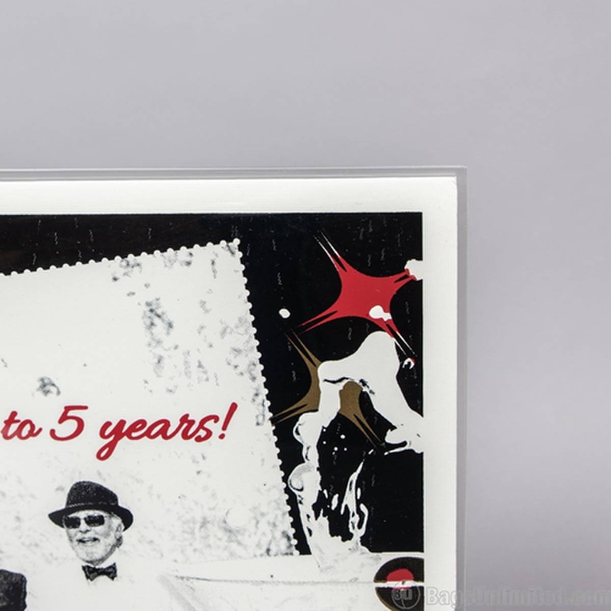 POLYESTER (Mylar) Record Jacket Sle
